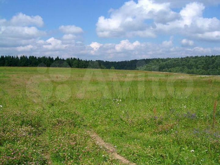 Участок 1,22 га (СНТ, ДНП)