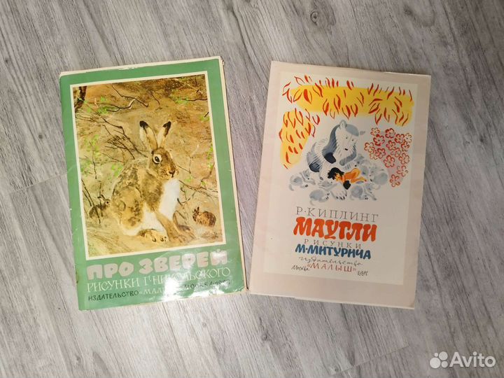 Книги с иллюстрациями детские