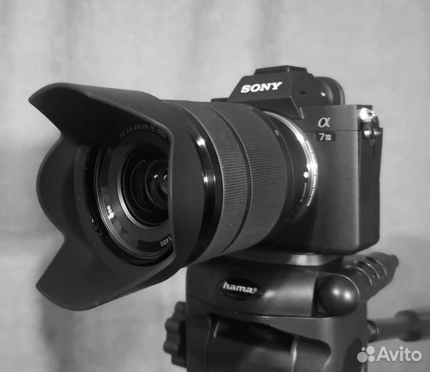 Видеограф, видеосъемка, видеомонтаж