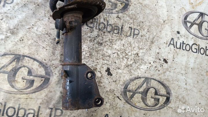 Амортизатор/стойка передняя правая Renault Koleos