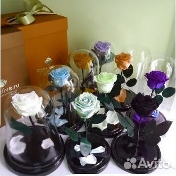 Вечная Роза в колбе. Много моделей. От завода