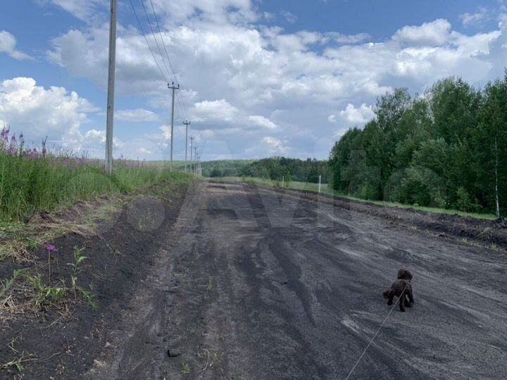 Участок 5 сот. (ИЖС)