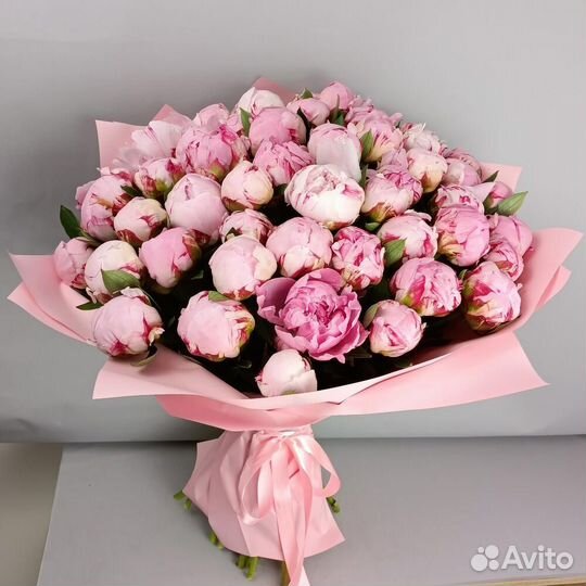 Букет 51 нежно-розовый Пион