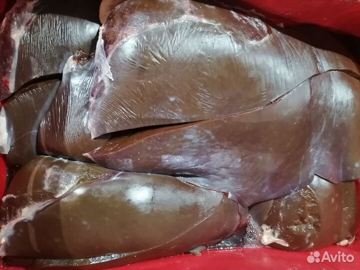 Мясо говядины