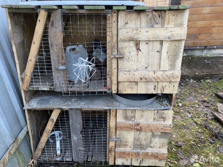 Клетка для кроликов(птицы)