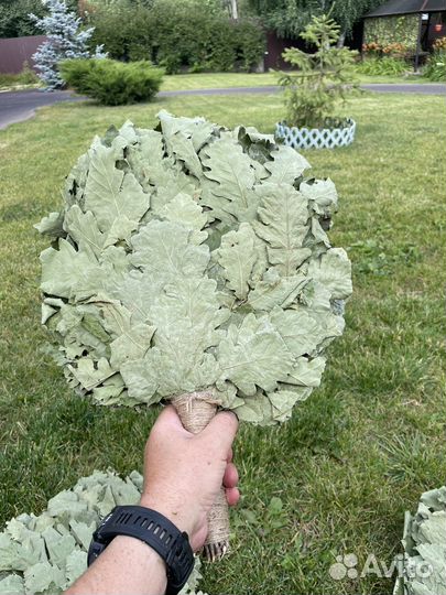 Веники для бани