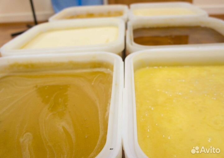 2024 Мед натуральный с Алтая опт