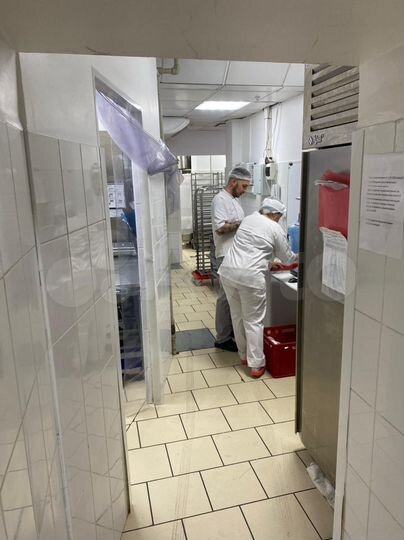 Производство, 250 м²