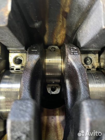 Б/У Низ двигателя BAG/BLF/BLP/1.6 шортблок#001