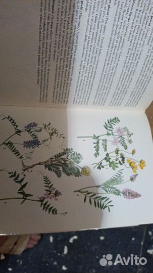 Волосы по растениям,животным