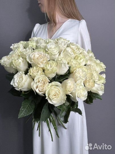 Белые розы Эквадор