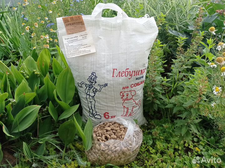 Корм для собак