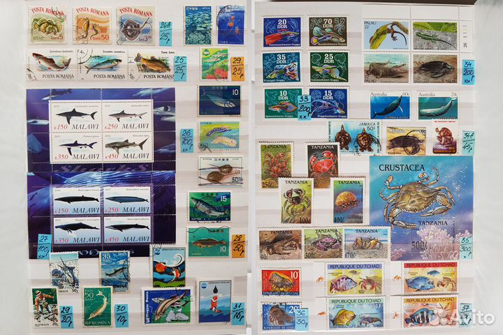 Марки. Рыбы. Набор 2