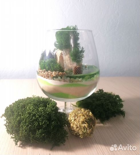 Мини моссариум