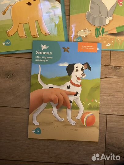 Набор умница, Мои первые шедевры