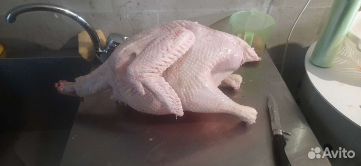 Мясо домашней птицы (Индейка)