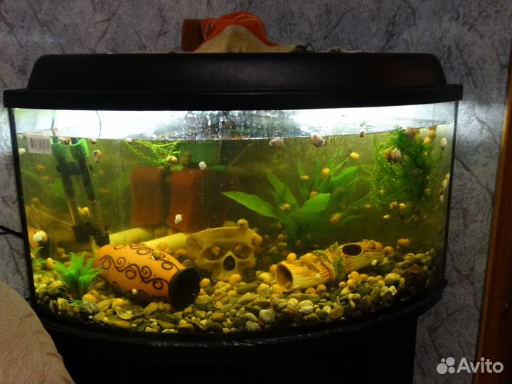 Аквариум на 150 и 120 литров