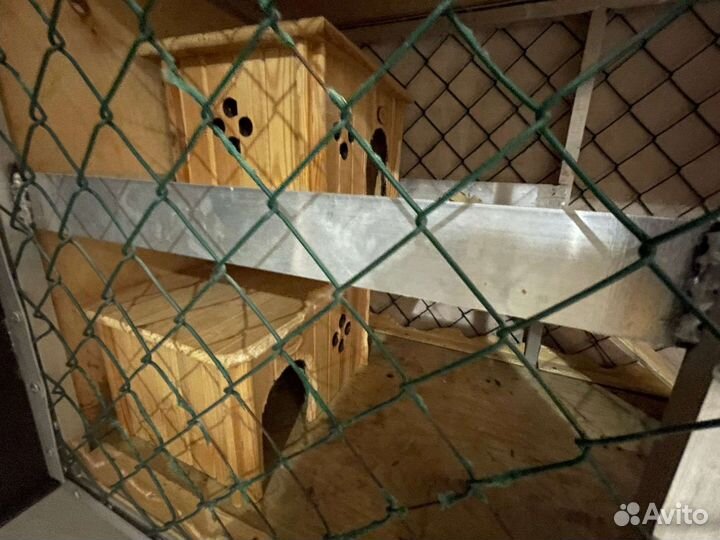 Клетка для кролика