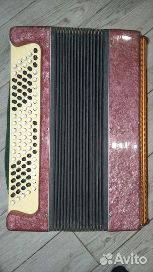 Баян Ростов-Дон