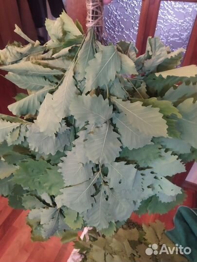 Банные веники