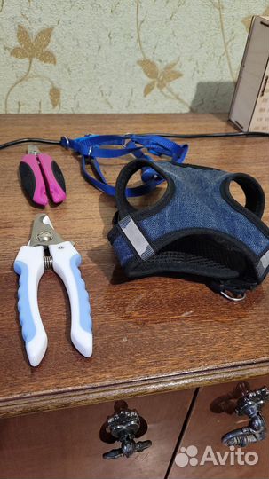 Когтерез, Поводок, шлейка