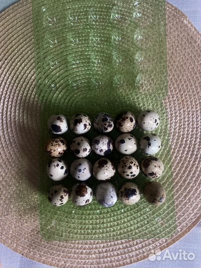 Яйца перепелиные