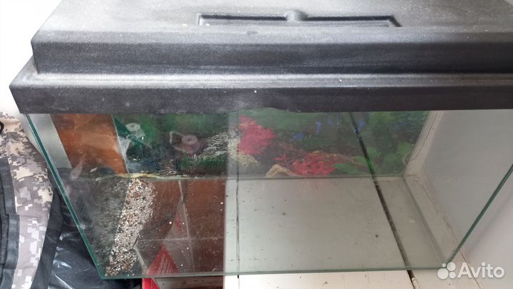 Аквариум