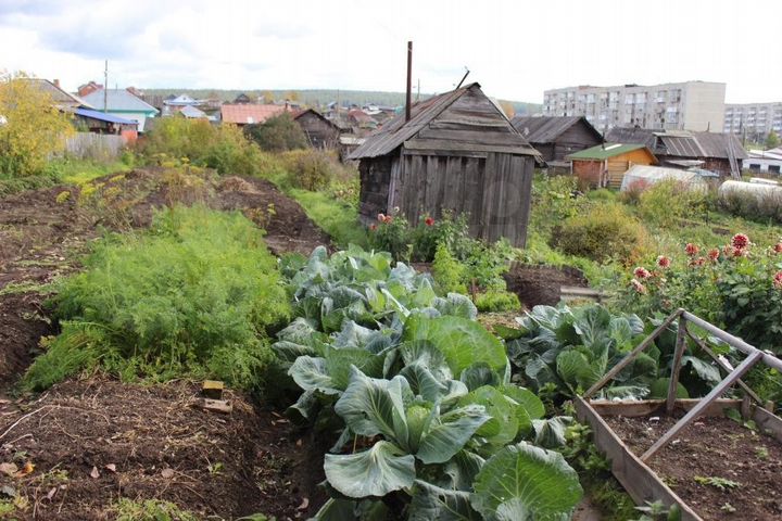 Дом 40 м² на участке 15 сот.