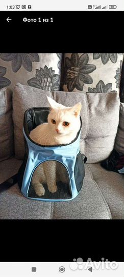 Рюкзак переноска для животных