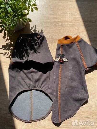 Одежда для собак