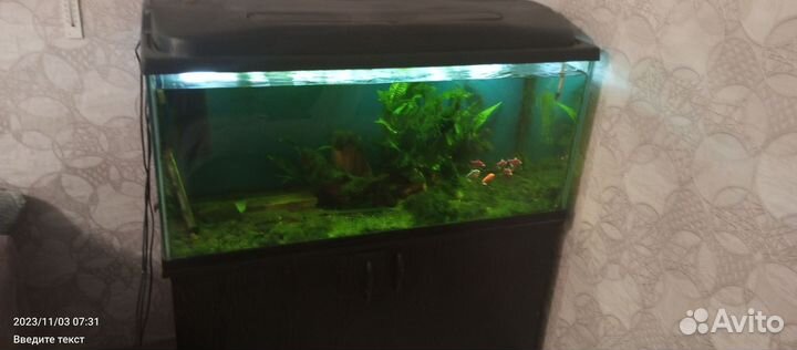 Аквариум