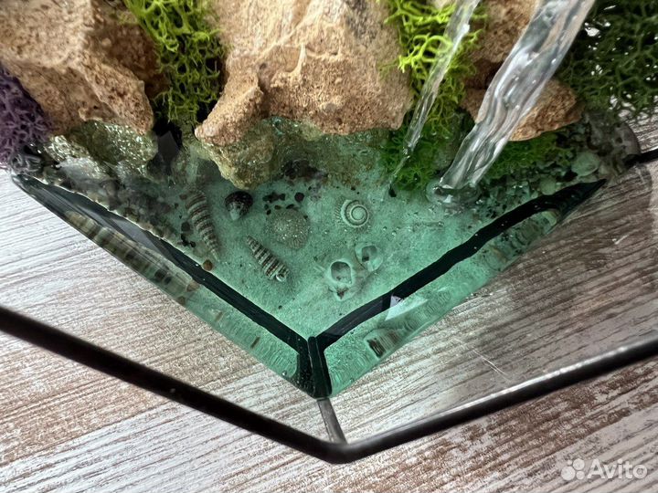 Флорариум из суккулентов