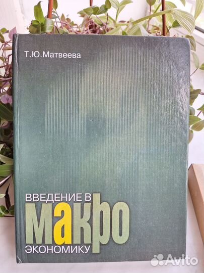 Введение в макроэкономику Т.Ю. Матвеева 2006г., бу