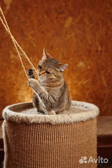 Очаровательная Роза найдет ключик к вашему сердцу