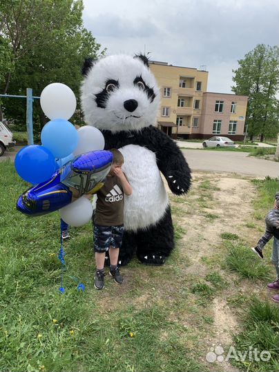 Экспресс поздравление кукла