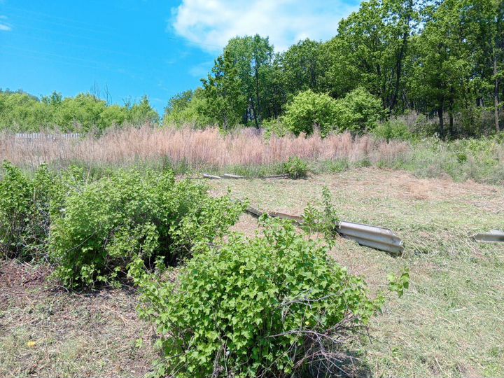 Участок 6 сот. (СНТ, ДНП)