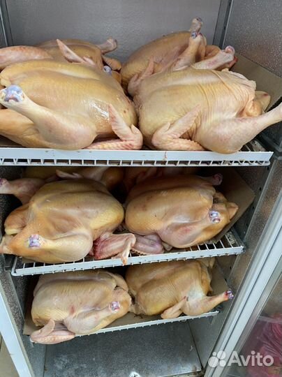 Телятина горная С доставкой