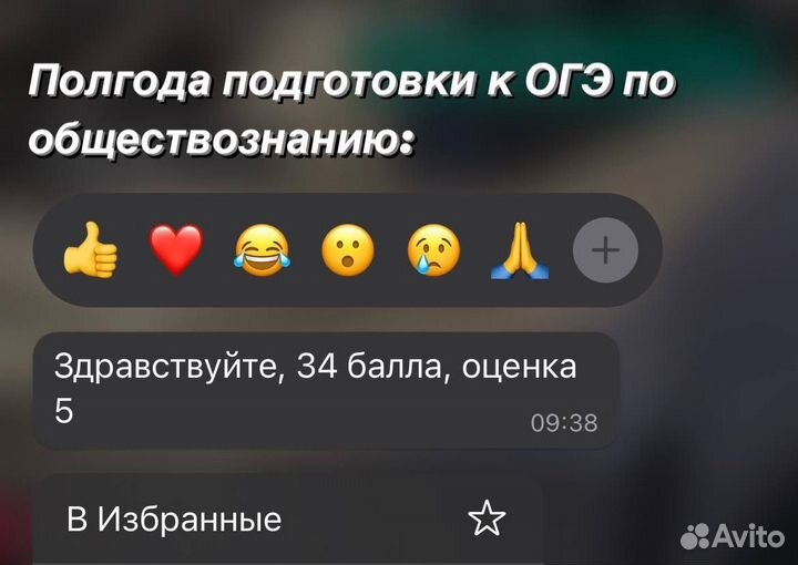 Репетитор егэ/огэ по обществознанию