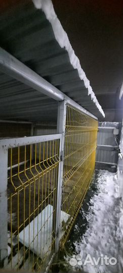 Вольер для собак