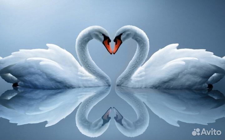 Знакомства. Сваха