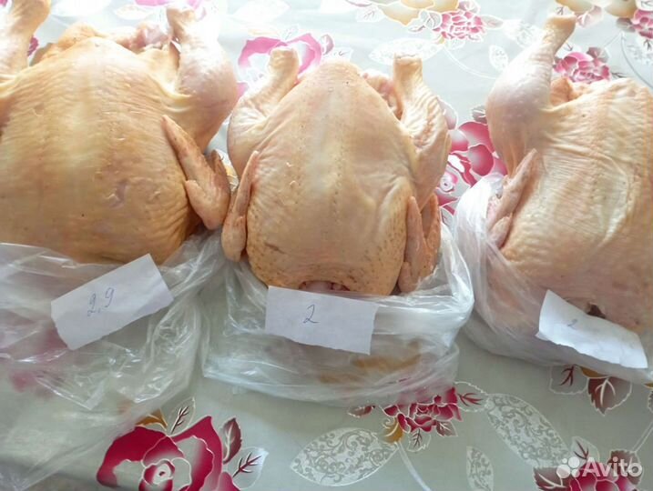 Домашний бройлер