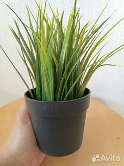 Елка искусственное растение трава в горшке IKEA