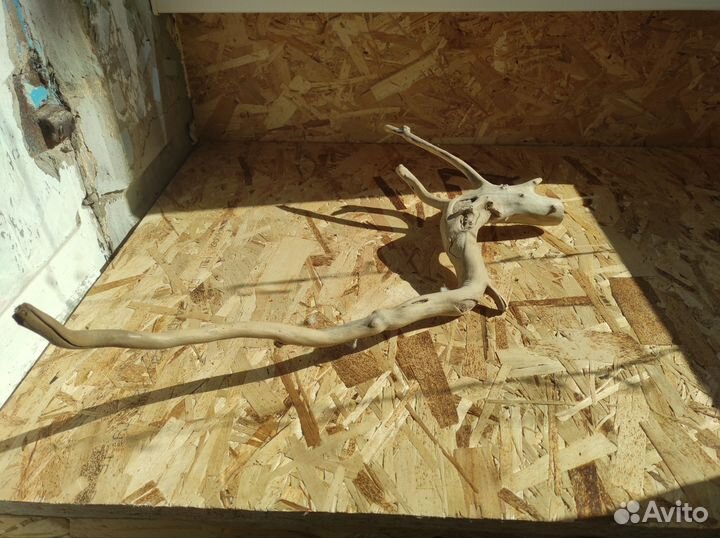 Коряги для аквариума