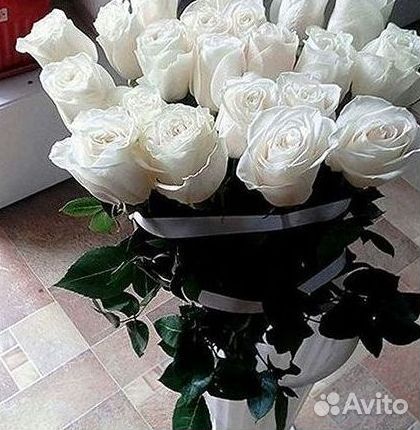 Розы гиганты 140 150 160 170 180 200