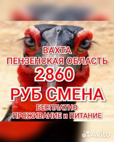 Фасовщик вахтой Пенза 2860 смена жилье еда