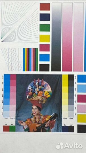 Печатающая головка Epson L 800/805