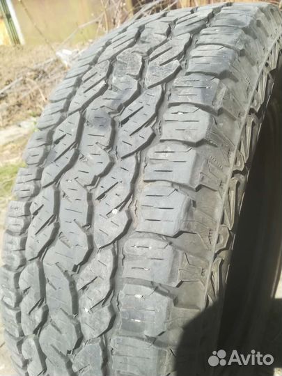 Motomaster APL 215/65 R16