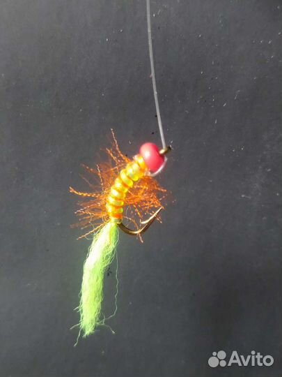 Настрой омулевый на фару несколько штук