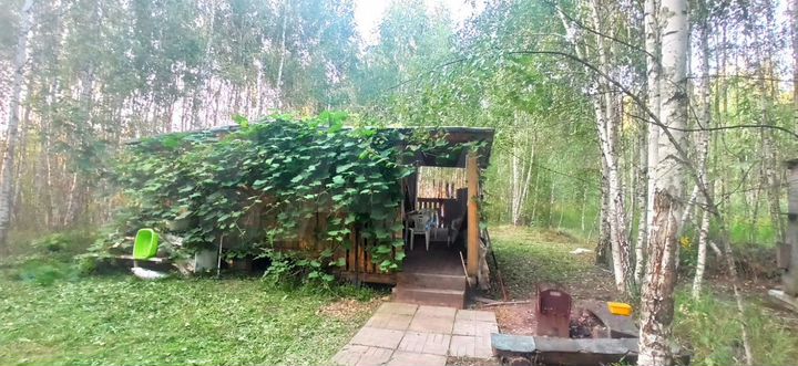 Участок 2,5 га (СНТ, ДНП)