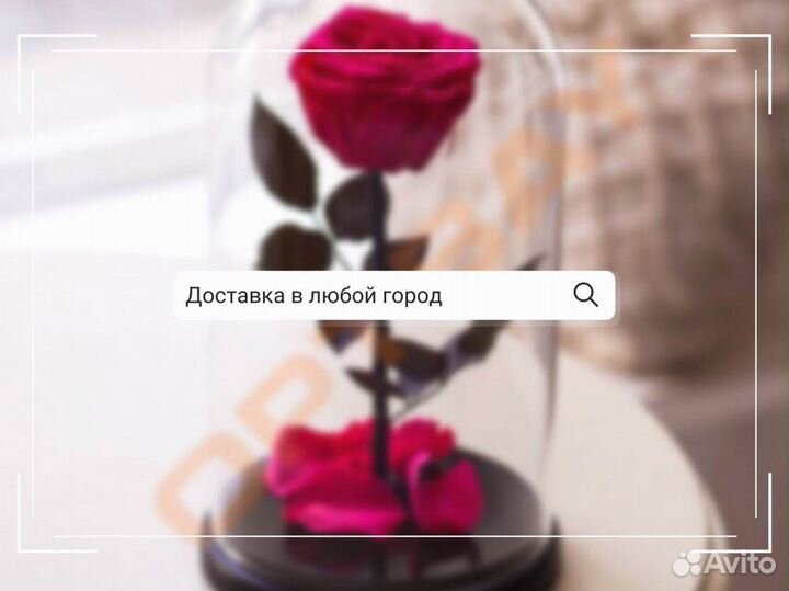 Вечная роза в колбе